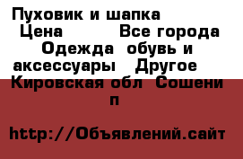 Пуховик и шапка  Adidas  › Цена ­ 100 - Все города Одежда, обувь и аксессуары » Другое   . Кировская обл.,Сошени п.